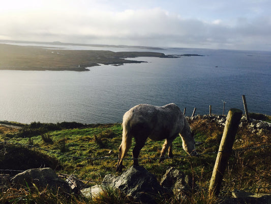 the wild atlantic Ireland