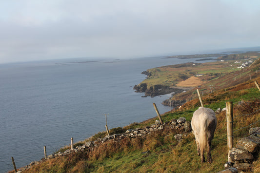 connemara claddagh poem